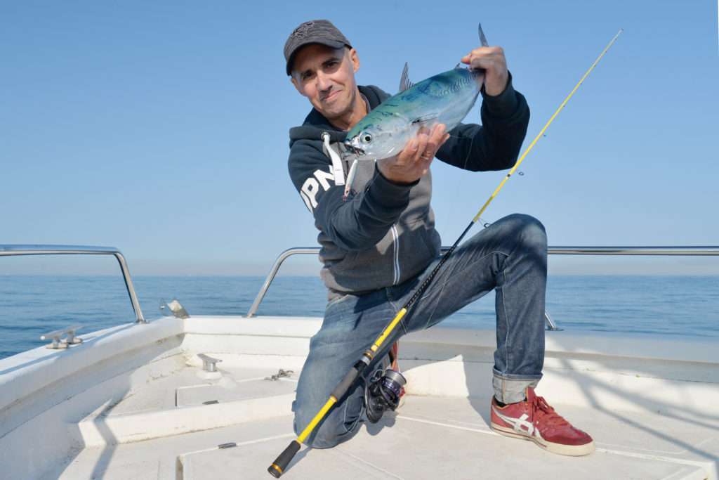 Ce bonitou n’a pas résisté à une Cuiller Anchois L-Jack dos bleu !