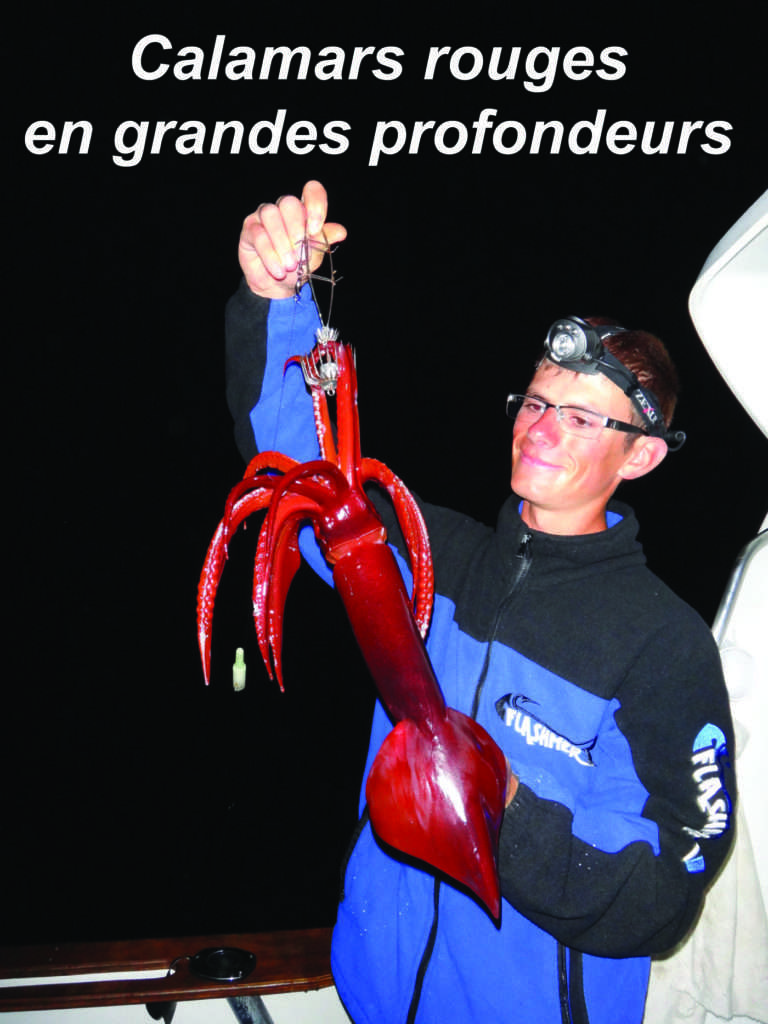 Pêche des calamars rouges en grandes profondeurs