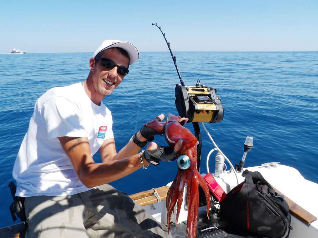 Beau calamar rouge pris par Fabien Harbers par 600 m de fonds au moulinet électrique