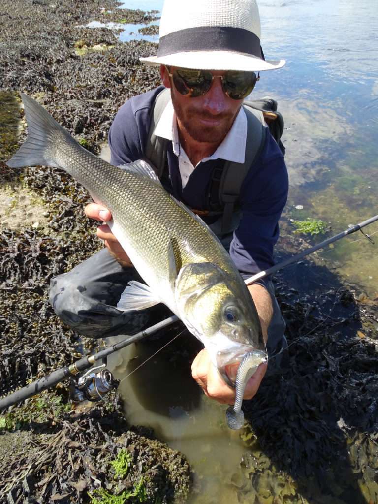 Un shad armé avec un texan plombé permet de pêcher dans les milieux très encombrés