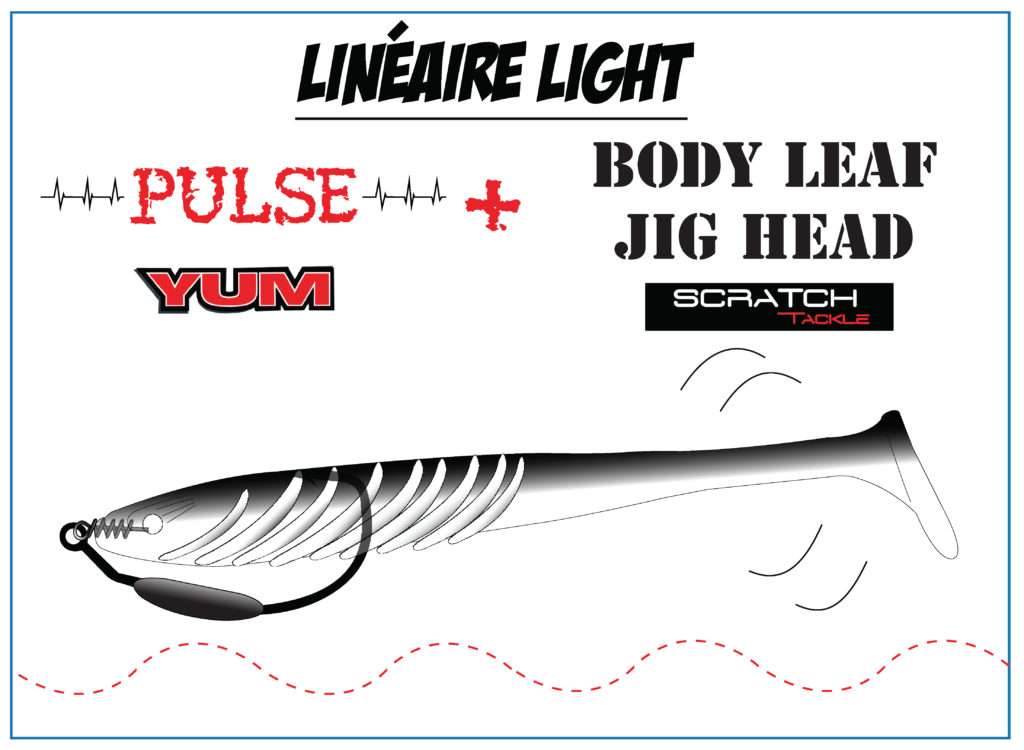 Pulse Yum et texan Leaf jig Scratch Tackle : le top pour les pêches weightless !