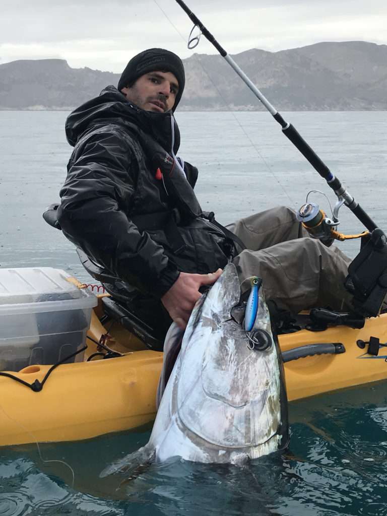 Thon rouge pris au Mag Popper durant la période de pêche en no-kill