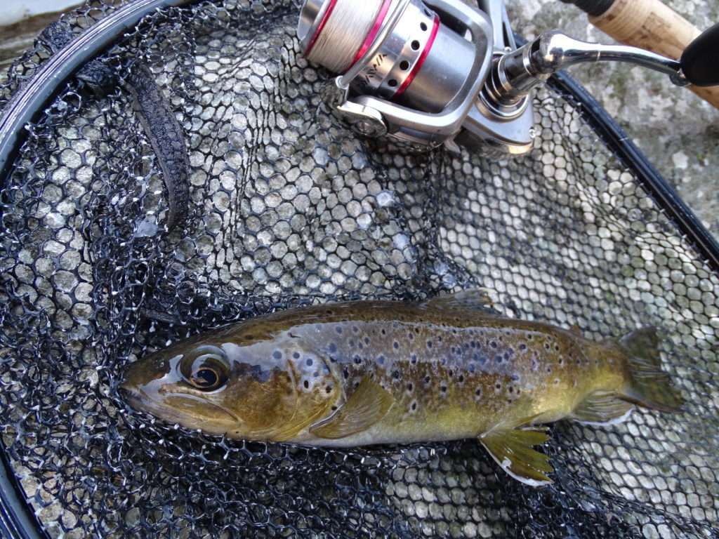 Matériel pêche truite - articles pour poissons de rivière