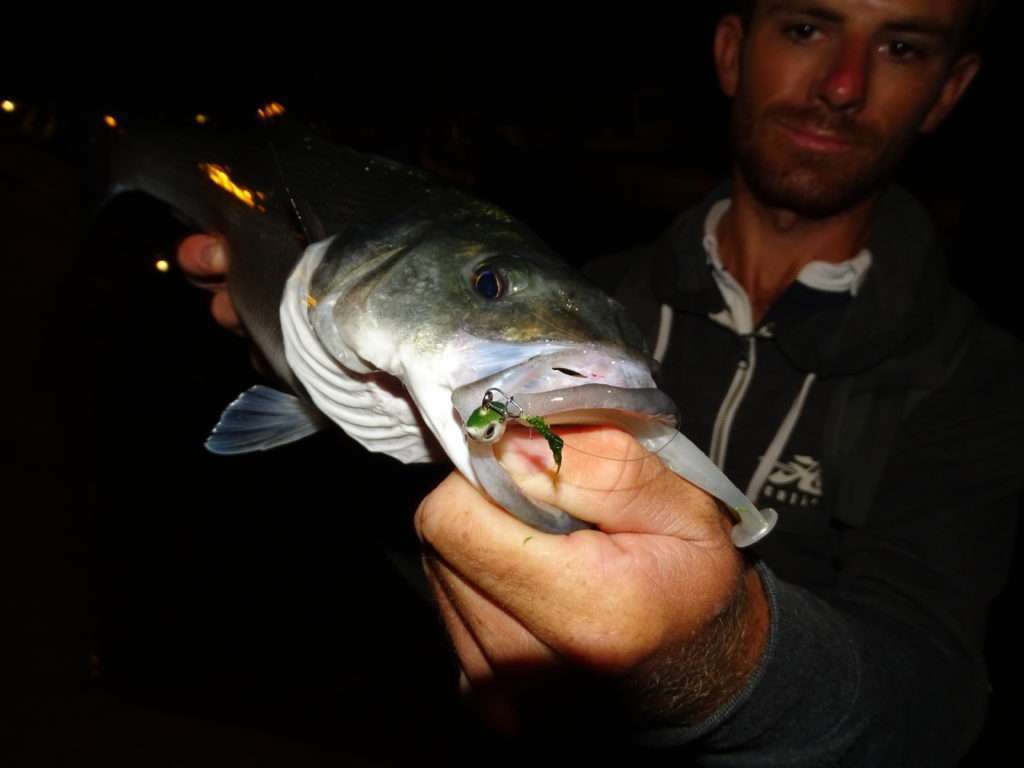 Colin avec un bar pris au crépuscule à l’Elite Shiner blanc 