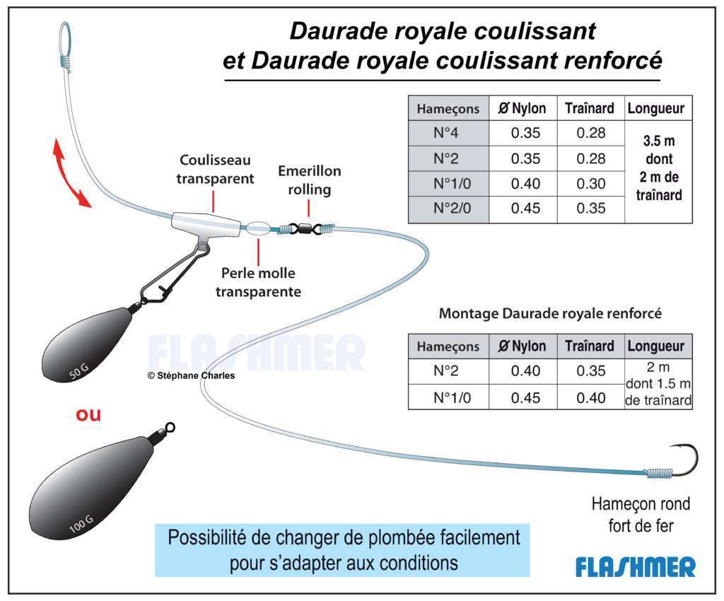 Montage Daurade Royale Coulissant Flashmer 