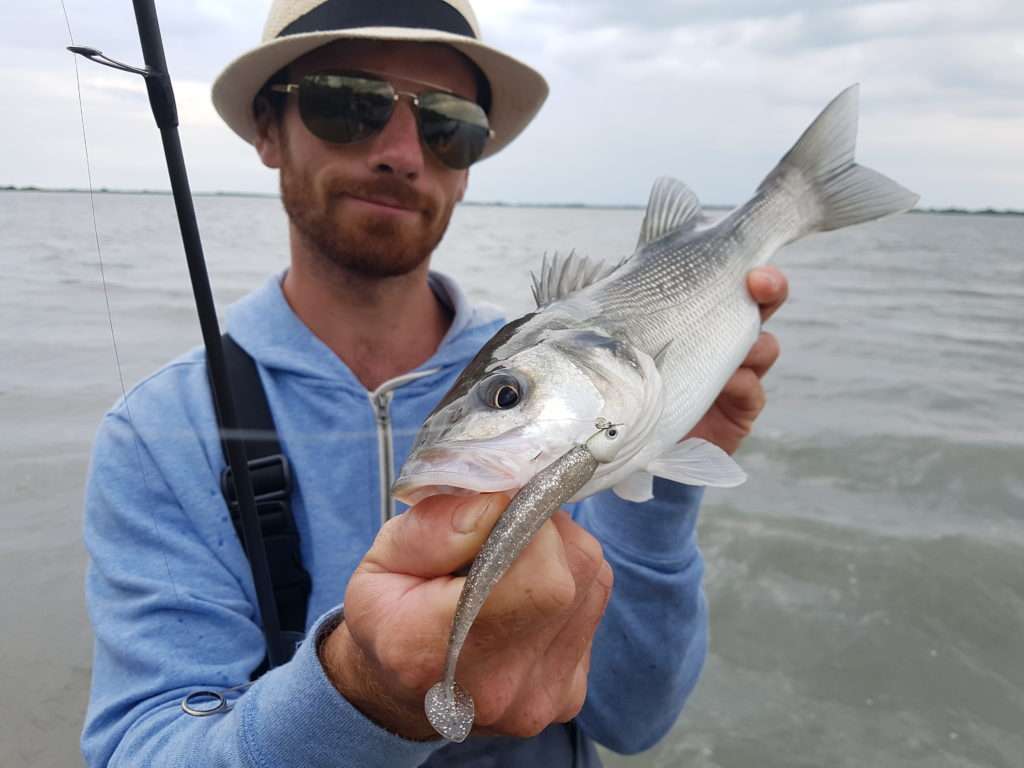 Magnifique bar pris par Colin à l’Elite Shiner monté sur tête Skud