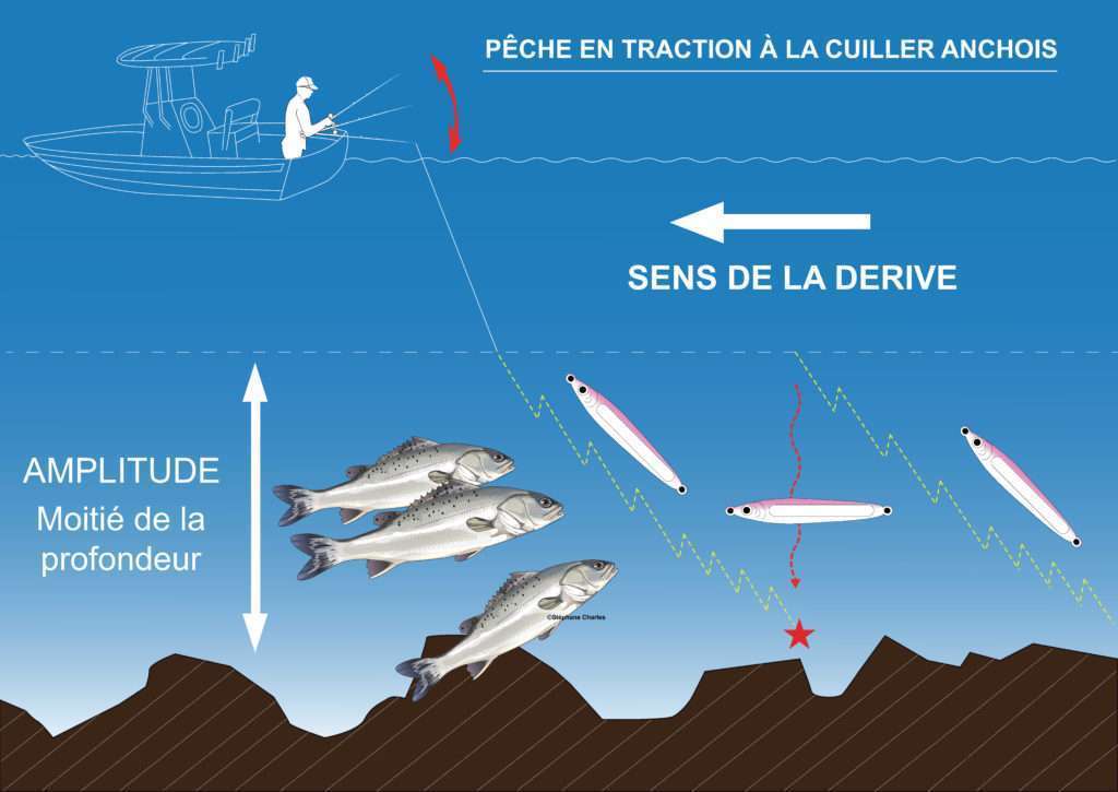 Pêche en traction avec la Cuiller Anchois L-Jack Flashmer