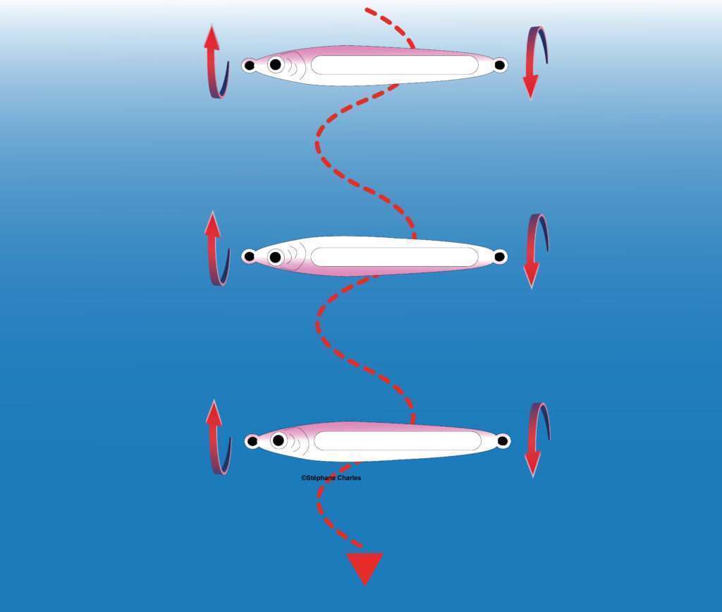 La Cuiller Anchois L-Jack Flashmer papillonne à la descente