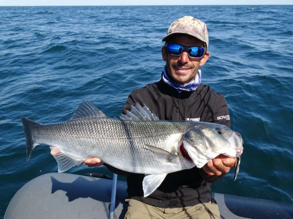 Ce bar n’a pas résisté à une Cuiller Anchois L-Jack dos noir !