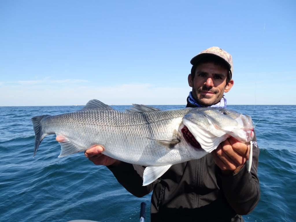 Joli bar pris à la Cuiller Anchois L-Jack Flashmer par Etienne