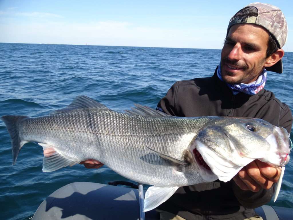 Magnifique bar breton pris à la Cuiller Anchois L-Jack Flashmer par Etienne