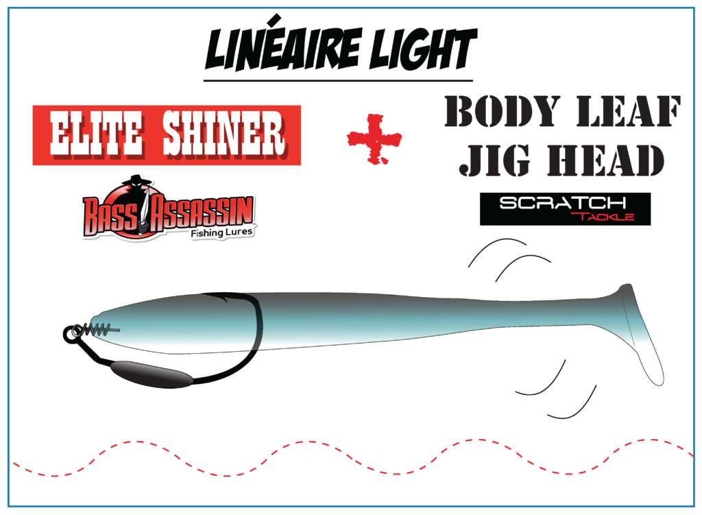 L’association Body Leaf Jig Head et Elite Shiner est parfaite pour les pêches lights !