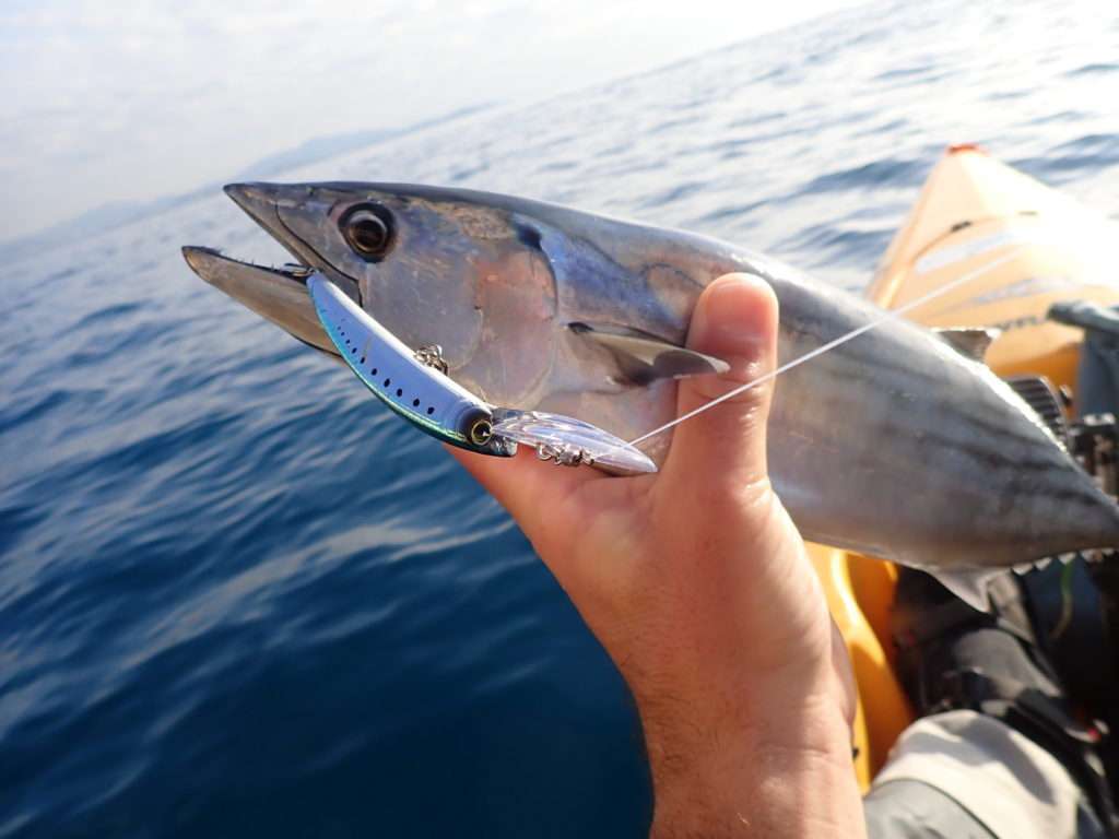 Le Crystal Minnow DD est d’une redoutable efficacité en pêche profonde !