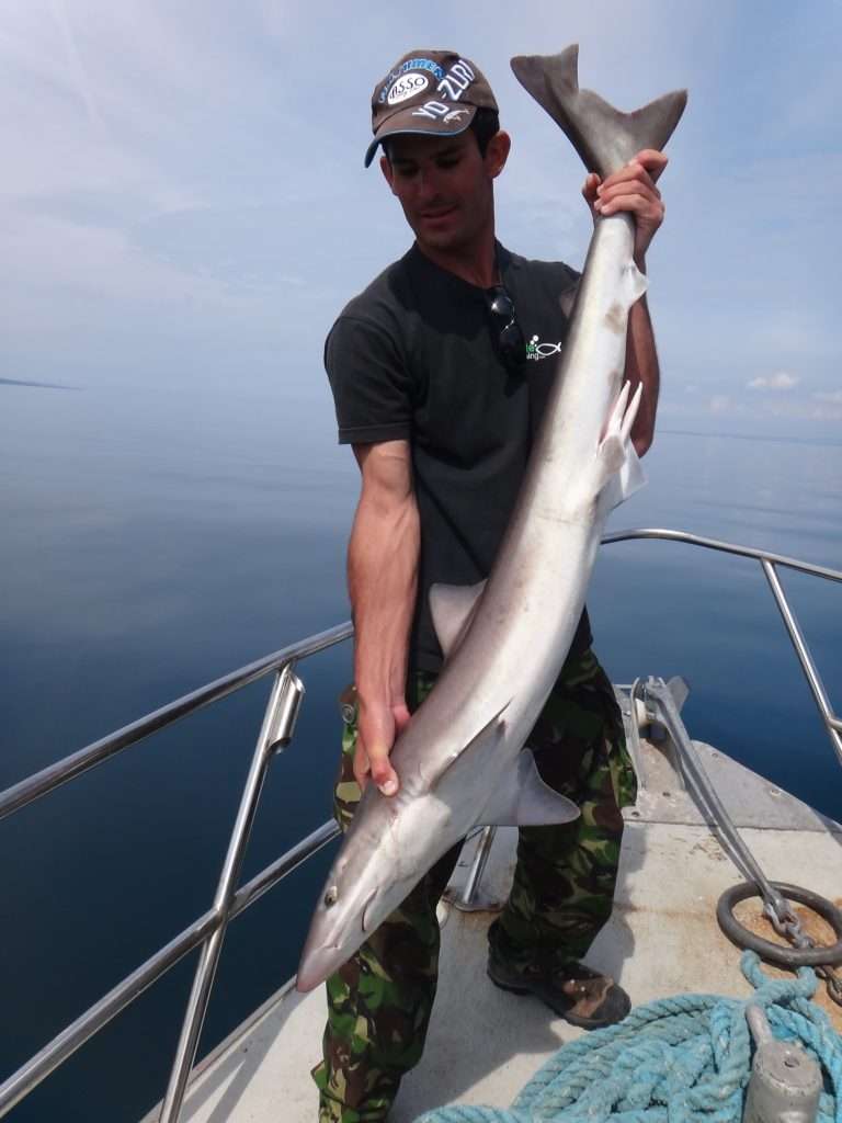 La pince dégorgeoir est bien utile pour enlever les hameçons de la gueule d’un requin