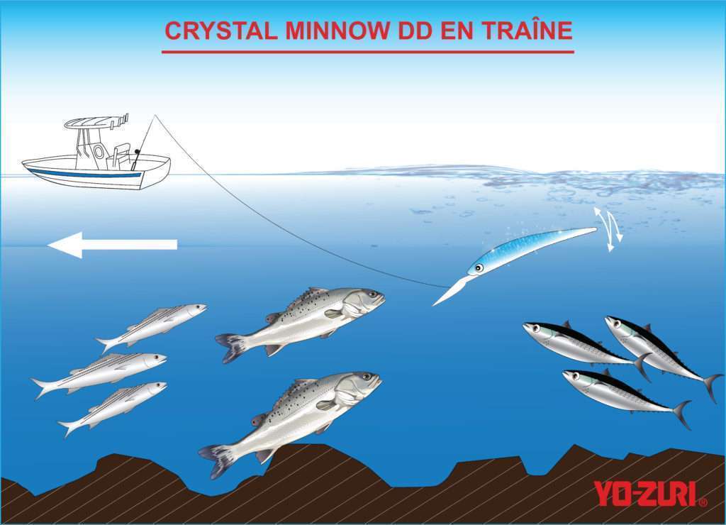 Le Crystal Minnow DD en traîne permet de pêcher bars, bonitous, pélamides, etc