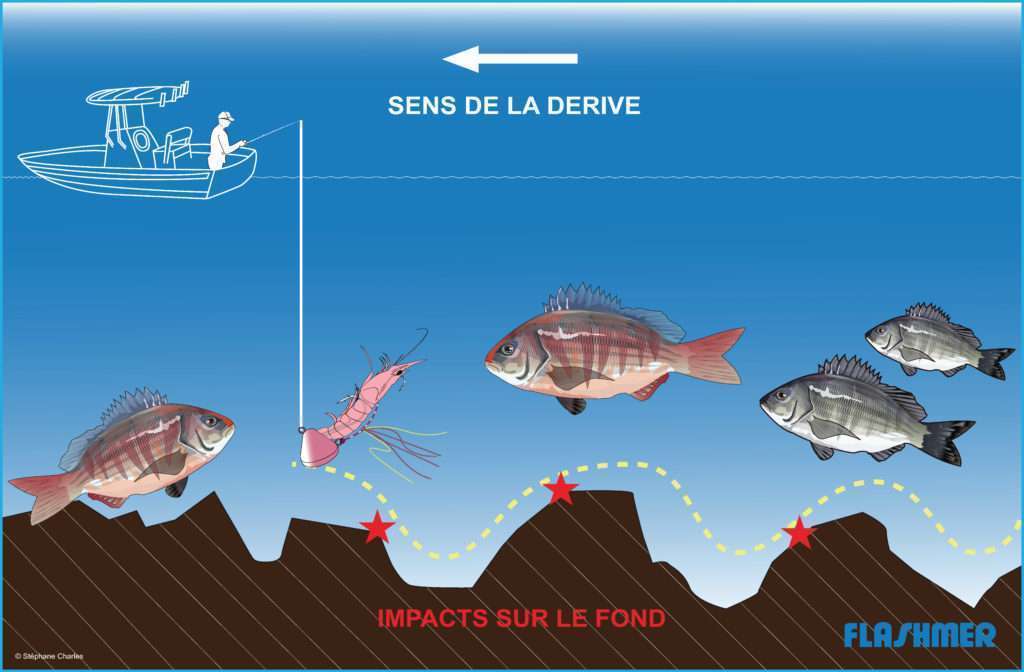 Explorer Spara à soutenir au ras du fond