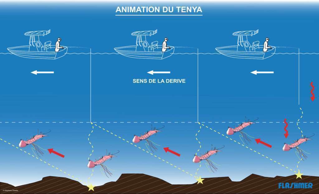 Explorer Spara : animation en dents de scie