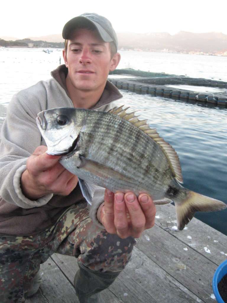 Hameçons De Pêche, Accessoire De Pêche à La Carpe, Haute Résistance Facile  à Transporter Pour Les Amateurs De Pêche Pêcheur Le Meilleur Accessoire