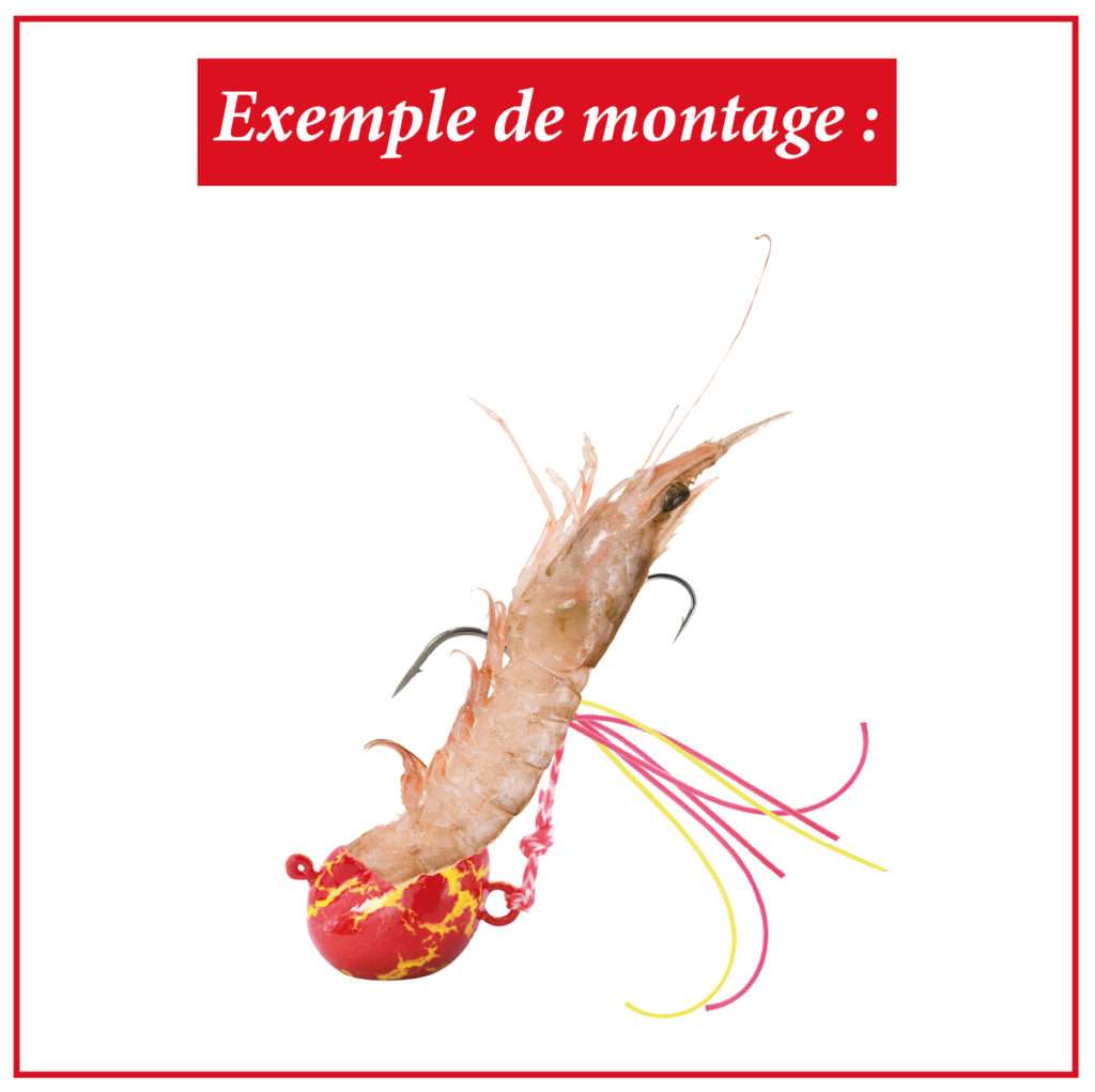 Gambas installée sur un Explorer Deep