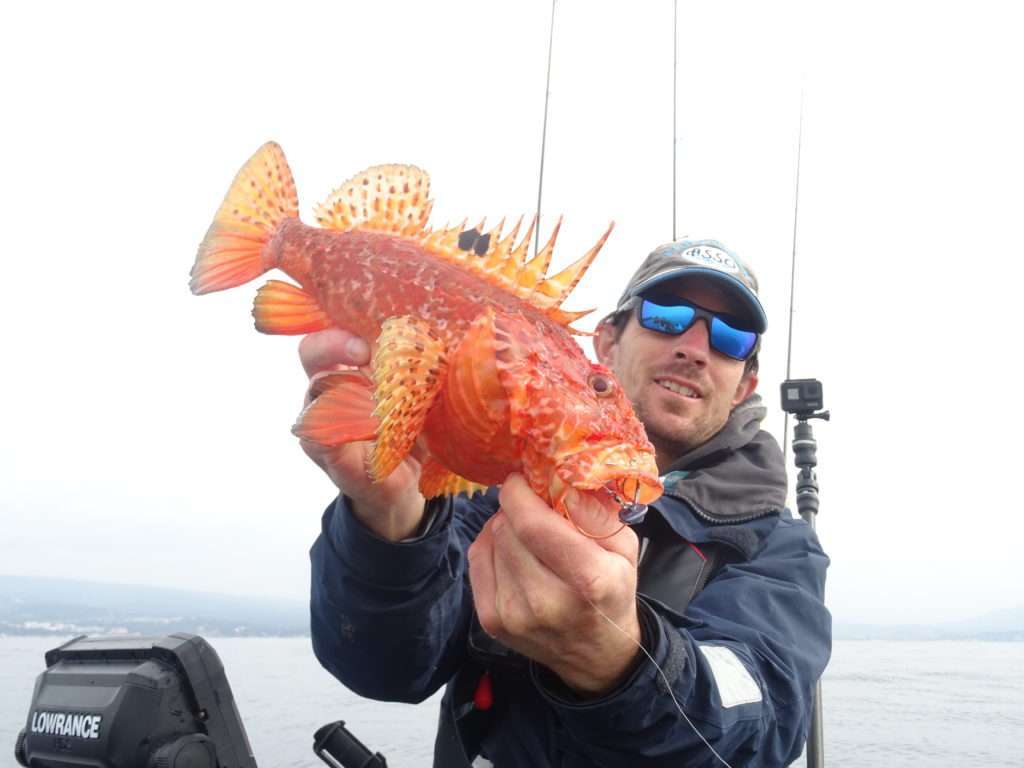 Vincent avec un superbe chapon pris à l’Explorer Shallow Explorer Tackle 