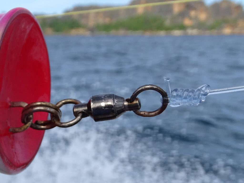 Un système d’attache rolling / anneau brisé est recommandé pour pêcher la sériole au Bull Pop Yo-Zuri 