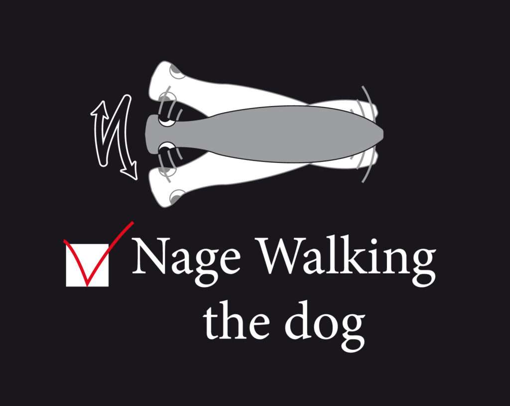 Nage en walking the dog