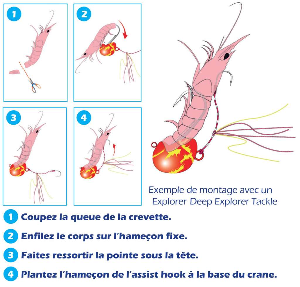 Comment installer une gambas sur votre tenya Explorer Deep