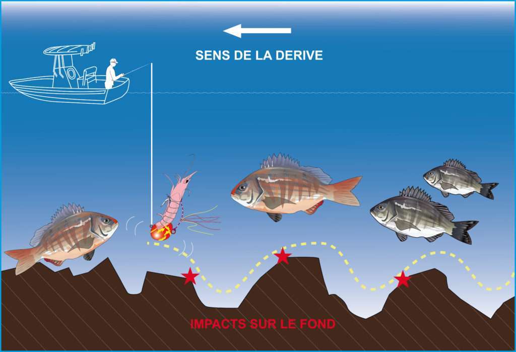 Animation du Tenya Explorer Deep Bream Explorer Tackle au ras du fond