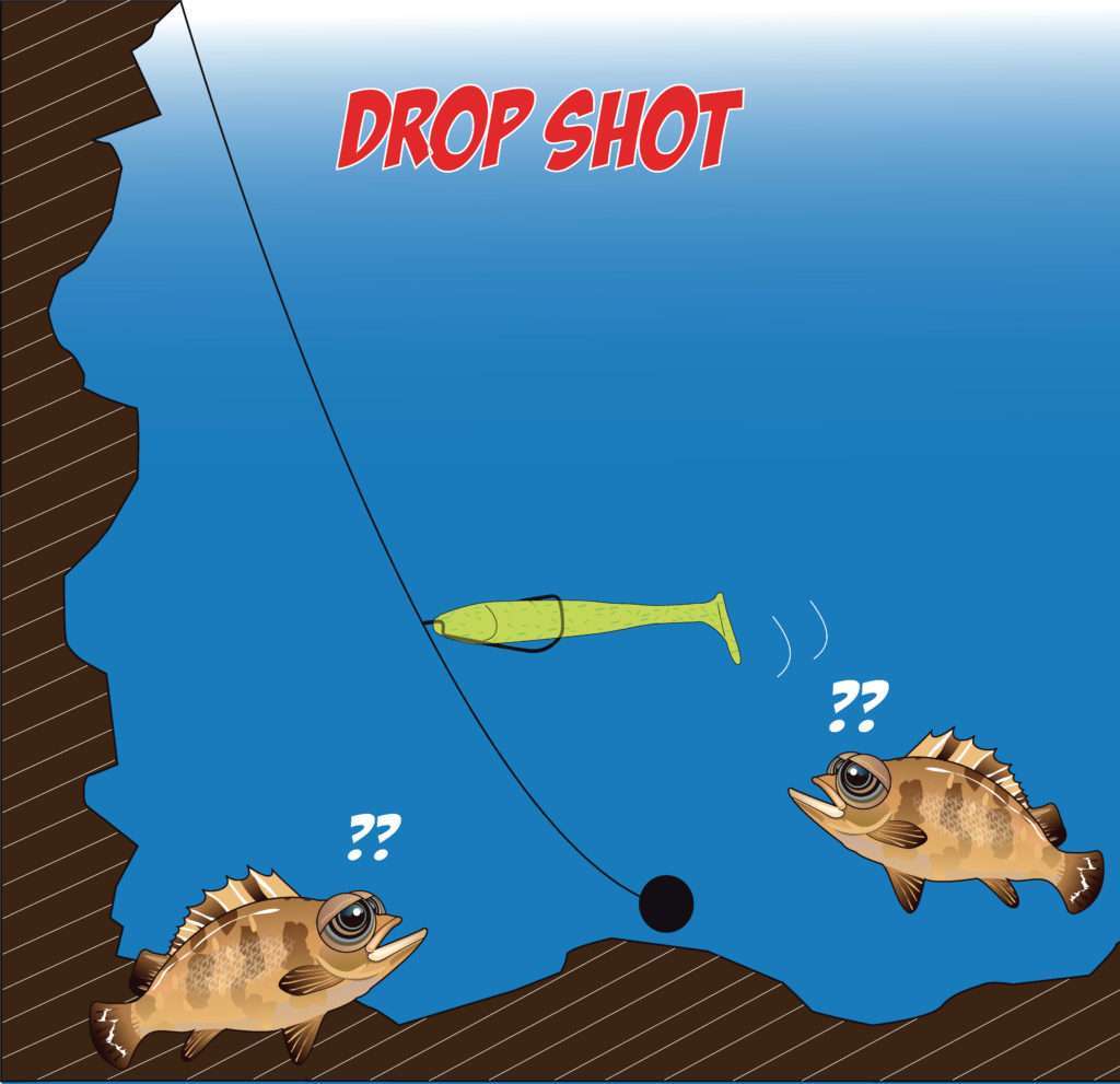 Rockfishing en drop shot avec le Crappie Dapper