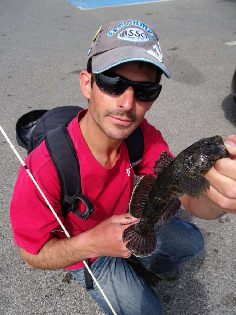 Enorme gobie pris en rockfishing avec un montage split shot