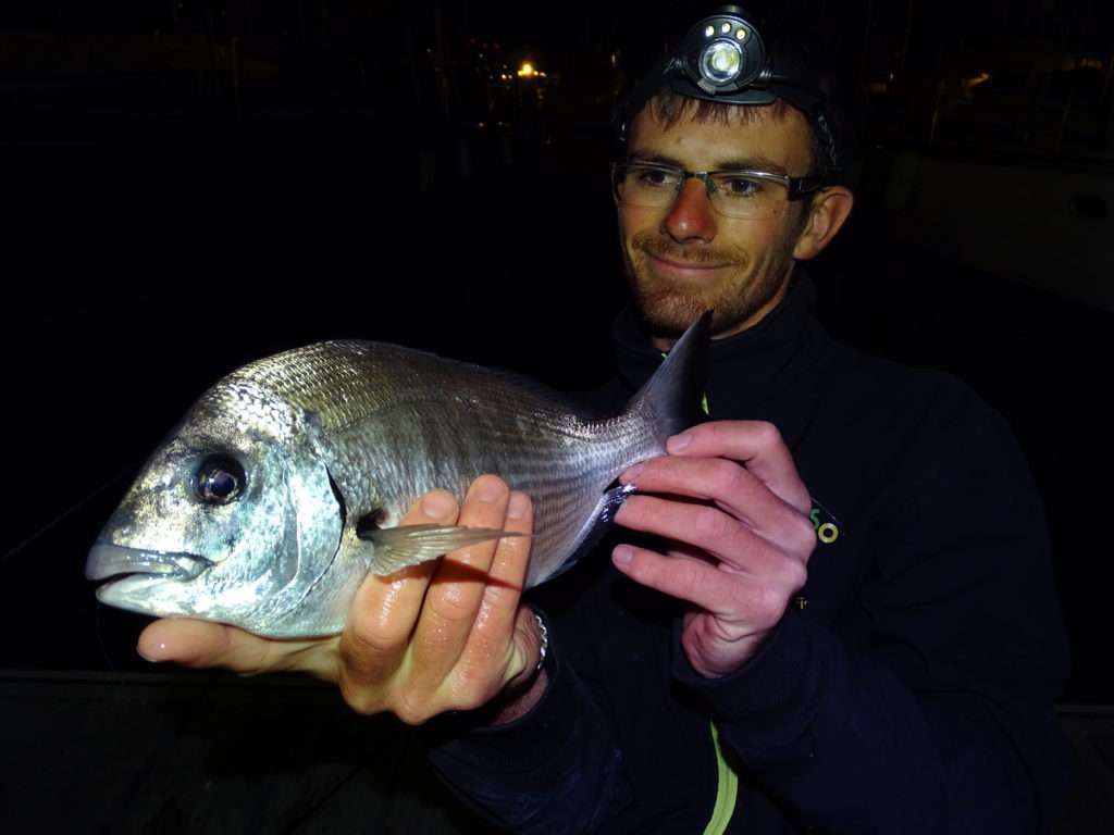 Beau sar pris en rockfishing par Colin