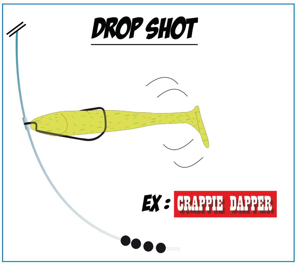 Crappie Dapper  en drop shot avec un hameçon texan