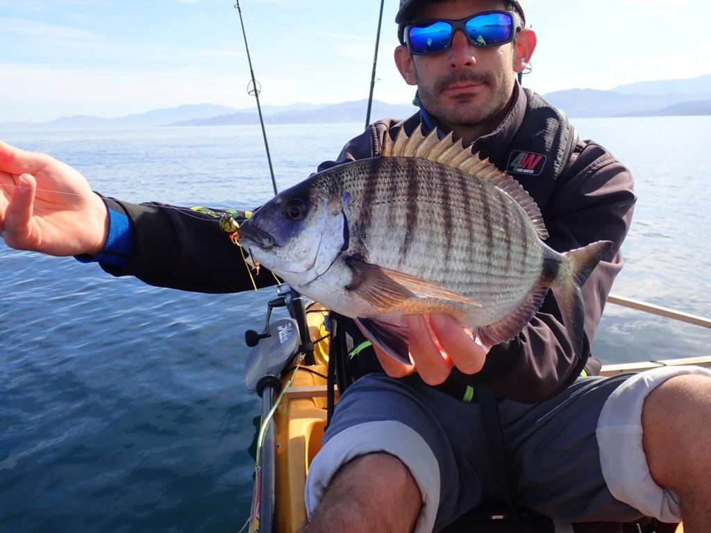 Sar pris à l’Explorer Deep Bream Explorer Tackle par Etienne