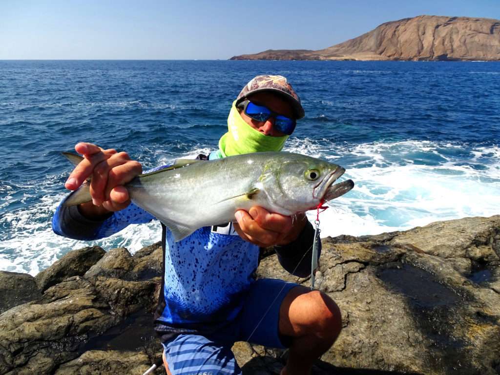 Magnifique tassergal pris au Jidai Explorer Tackle en shore jigging par Etienne ! 