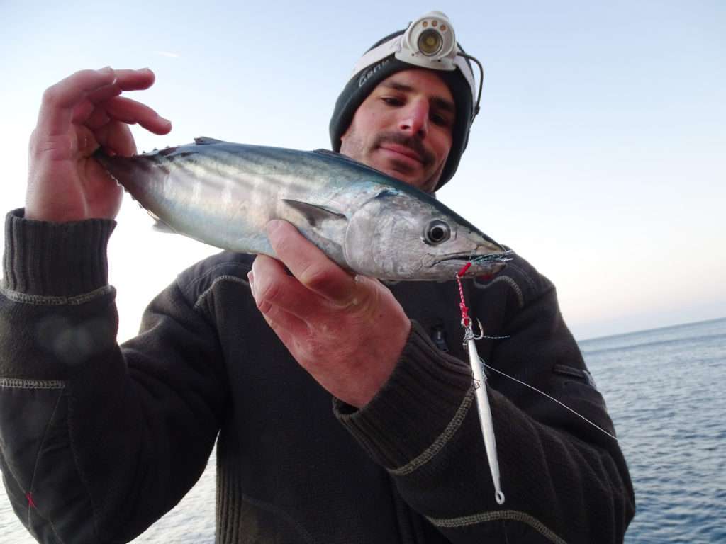 Pélamide prise au Jidai Explorer Tackle par Etienne Goletto en shore jigging