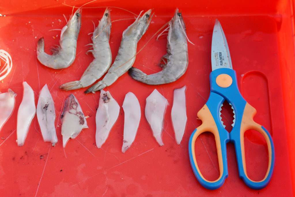 Gambas et lanières de calamar seront des appâts parfaits à escher sur le Shugo Kab Explorer Tackle