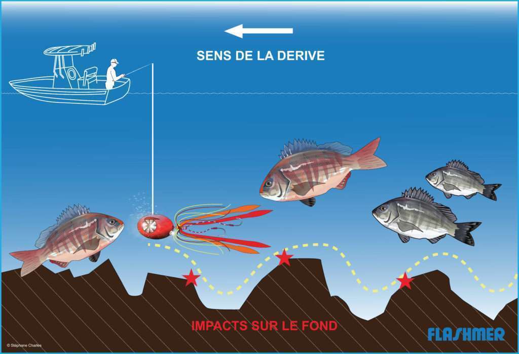 Pêche à soutenir au ras du fond avec le Shugo Kab Explorer Tackle