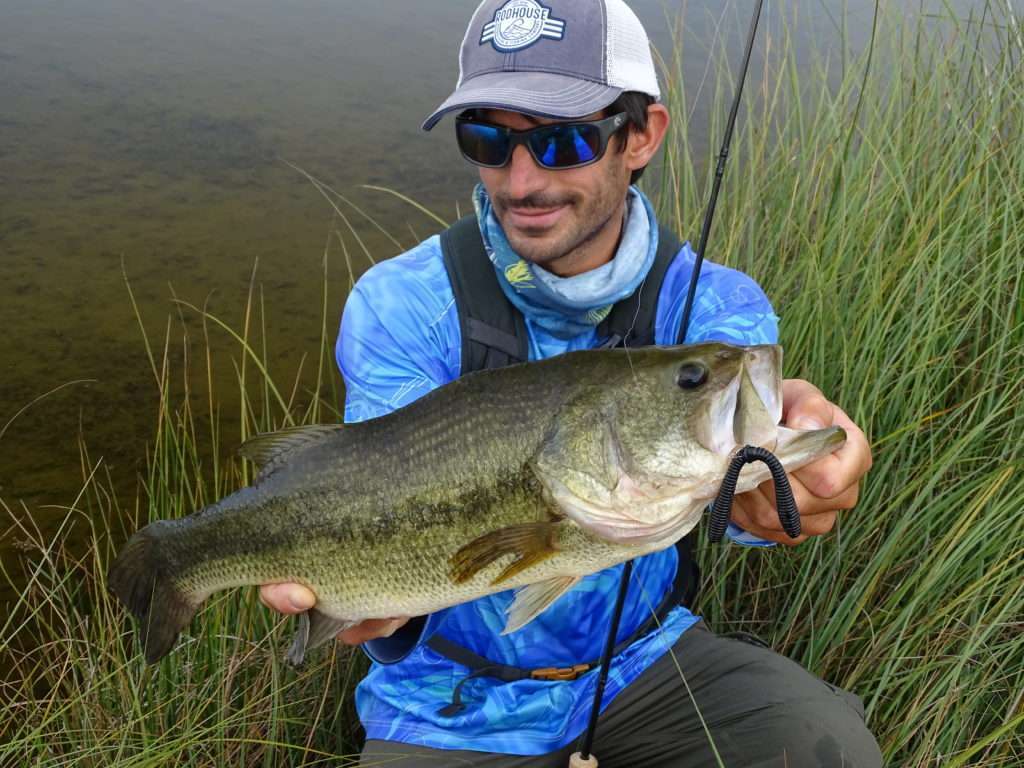 Beau bass pris par Etienne avec un Spanky manié en wacky en montage texas drop shot