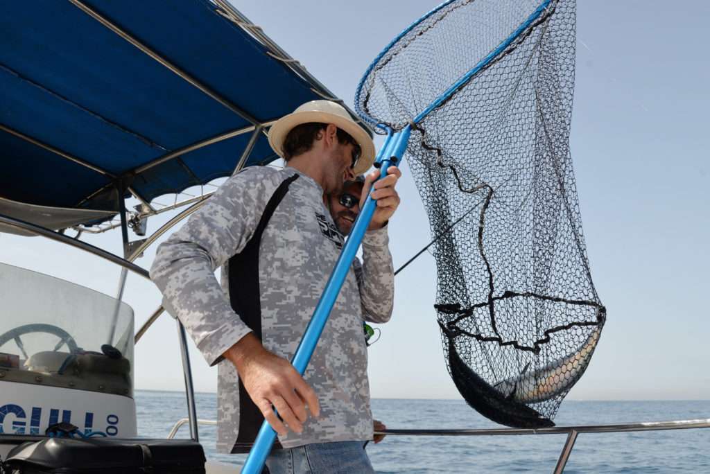 Une grande épuisette telle que l’Alu Big Fish Flashmer permet de faire rentrer plusieurs prises !