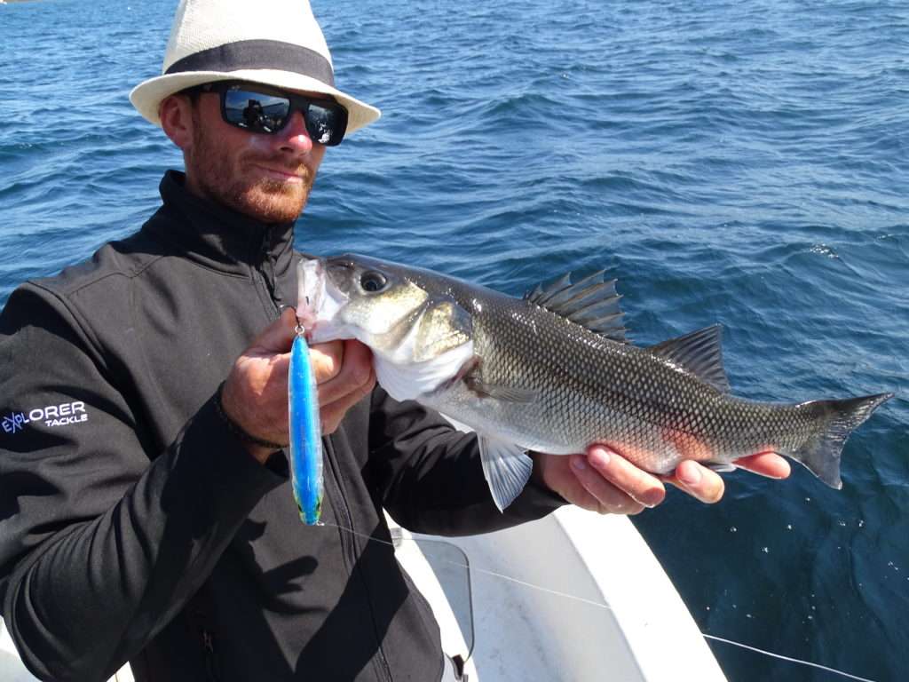 Le team Flashmer pêche beaucoup le bar et le tassergal avec le 3DB Pencil Yo-Zuri