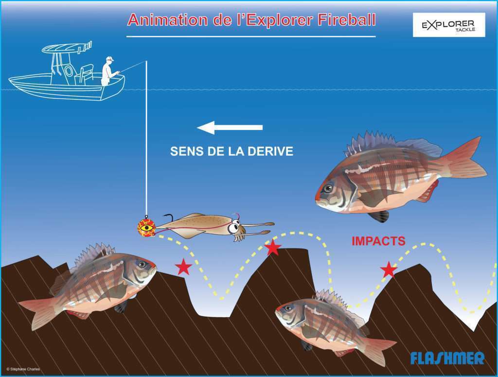 Animation de l’Explorer Fireball pour pêcher le denti