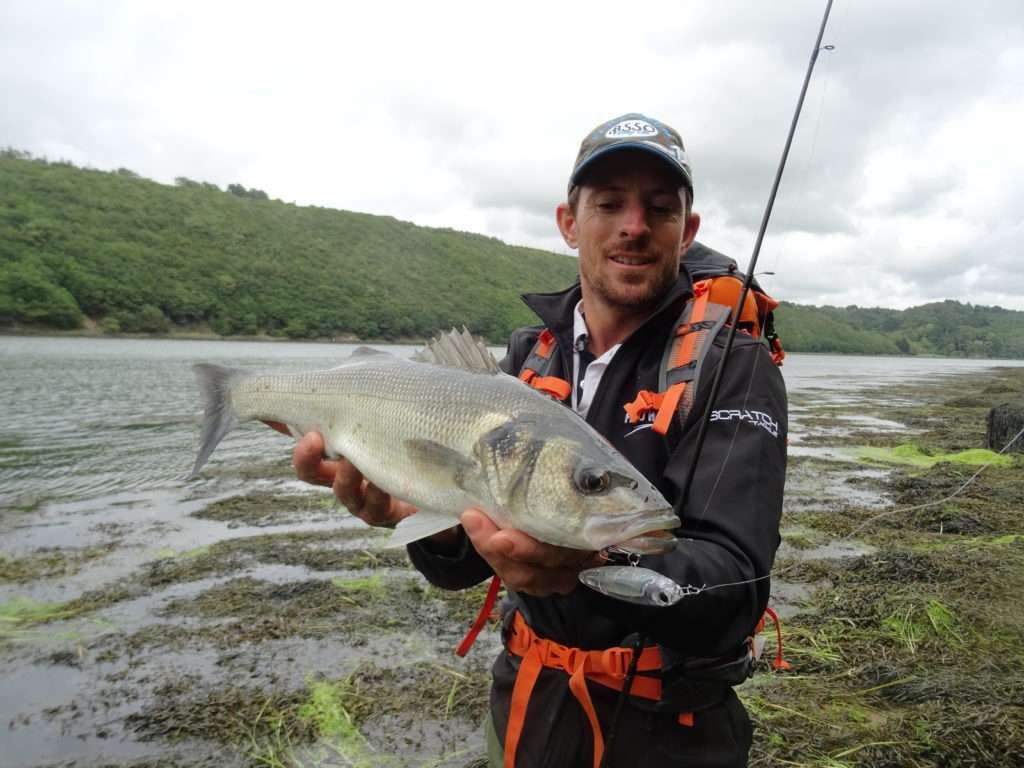 Le team Flashmer utilise beaucoup le 3DR Pencil pour la pêche des bars