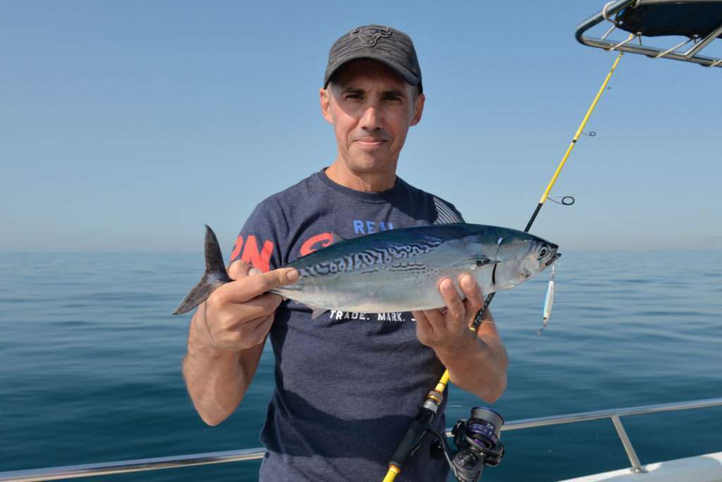 La Cuiller Anchois L-Jack est un des meilleurs casting jigs du marché pour les pêches sur chasses ! 