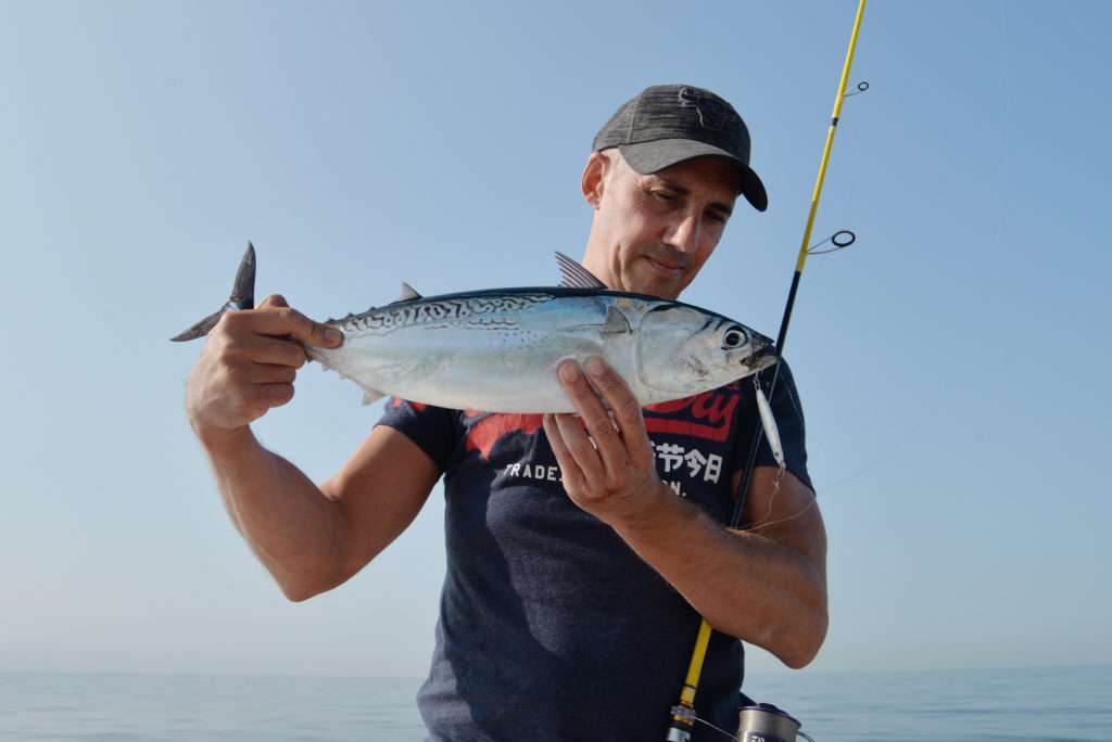 Ce bonitou n’a pas résisté à une Cuiller Anchois L-Jack dos bleu !