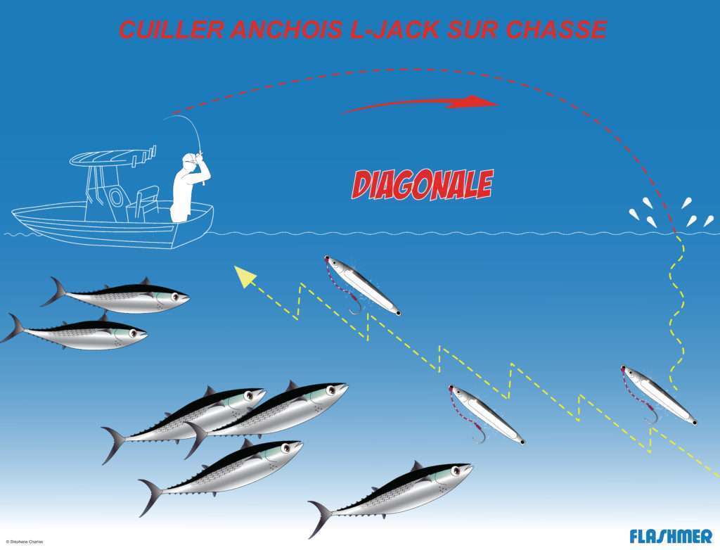 Cuiller anchois L-Jack : pêche en diagonale