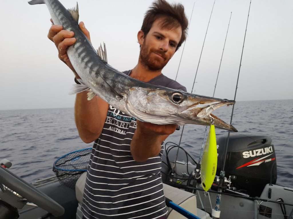 Barracuda pris au 3D Inshore Twitchbait Yo Zuri par Colin