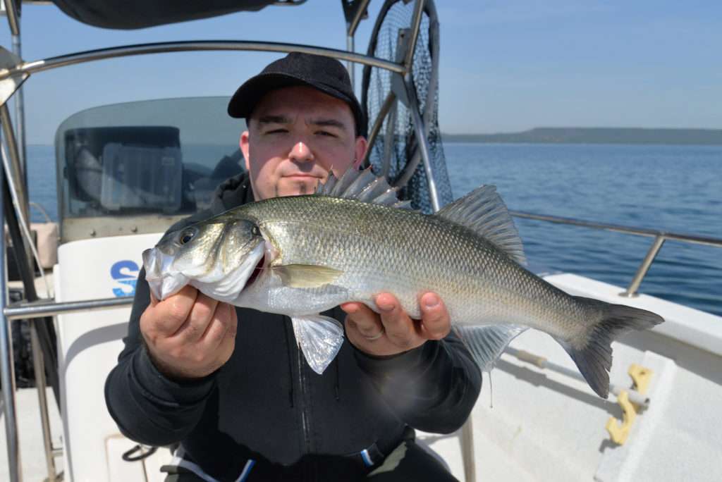 Le 3D Inshore Twitchbait est très efficace sur le bar ! 