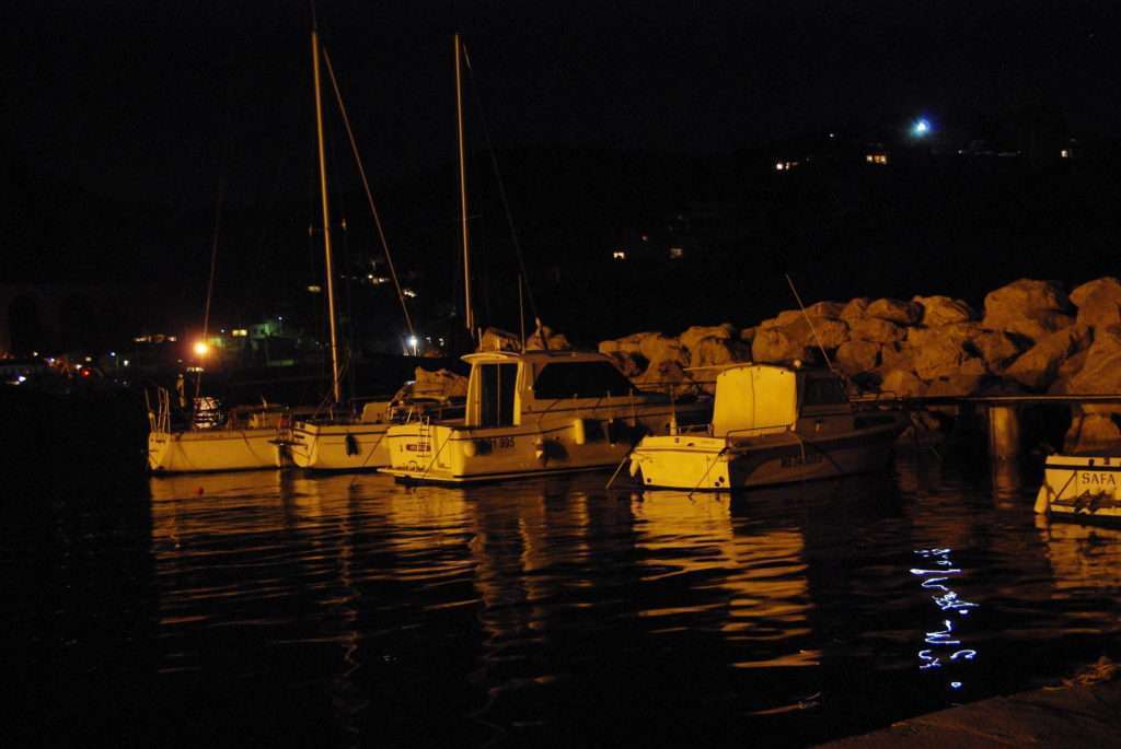 Les digues portuaires sont de bons postes à calamars