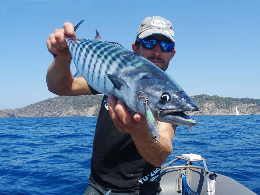 Vincent Goletto avec une belle pélamide prise au 3D Inshore Twitchbait Yo Zuri