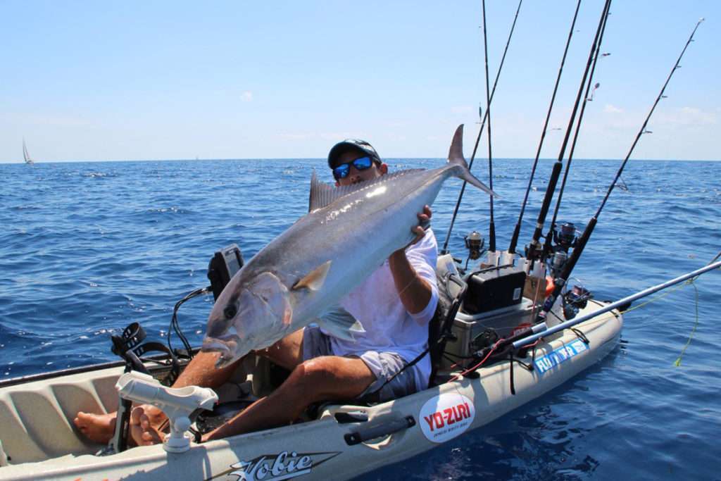 Magnifique sériole prise au Fireball Explorer Tackle par Vincent